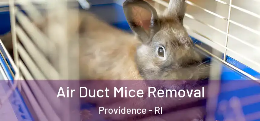 Air Duct Mice Removal Providence - RI