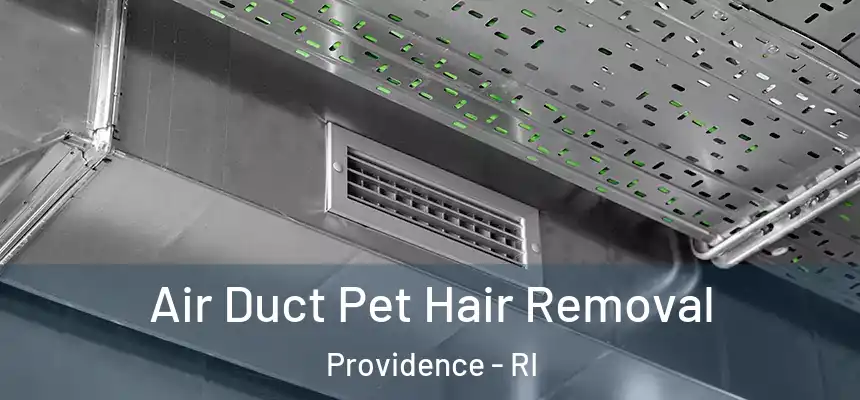 Air Duct Pet Hair Removal Providence - RI