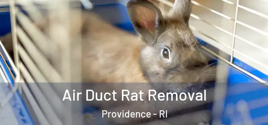 Air Duct Rat Removal Providence - RI