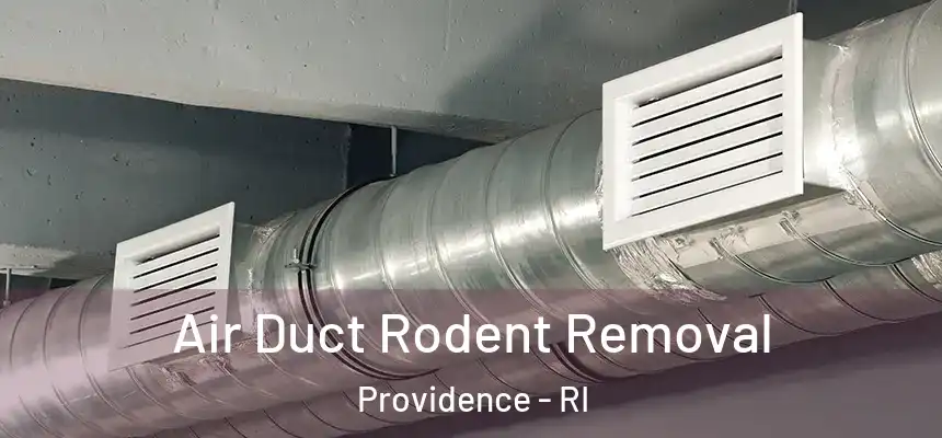 Air Duct Rodent Removal Providence - RI