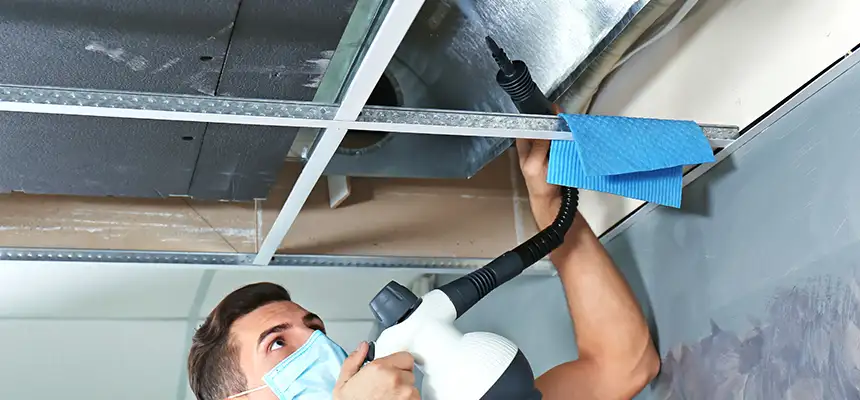 Our Air Duct Rodent Removal Services in Providence, RI