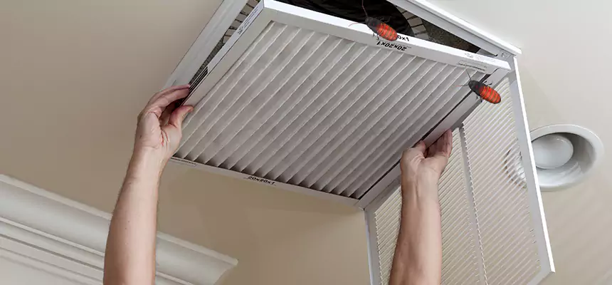 Our Insect Removal from Air Ducts Services in Providence, RI