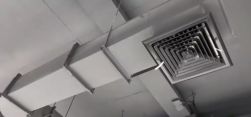 Our Pest Removal From Ducts Services in Providence, RI