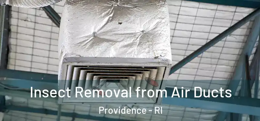 Insect Removal from Air Ducts Providence - RI
