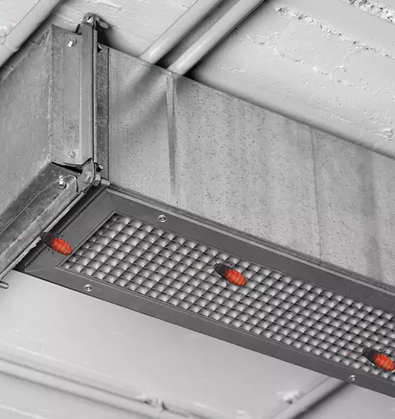 Affordable Insect Removal from Air Ducts in Providence, RI