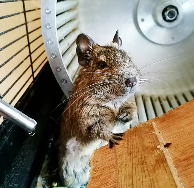 Why Homeowners & Businesses Trust Us Providence, RI